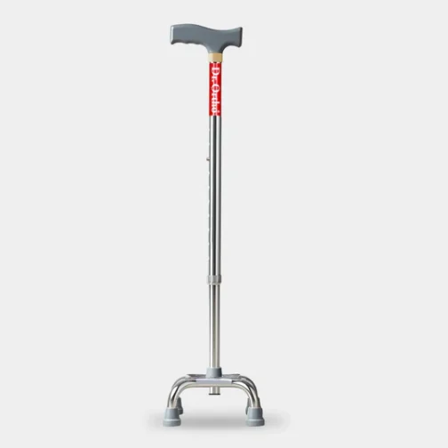 Walking Stick