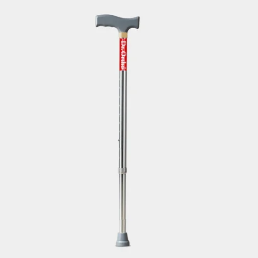 Walking Stick (L-Type)